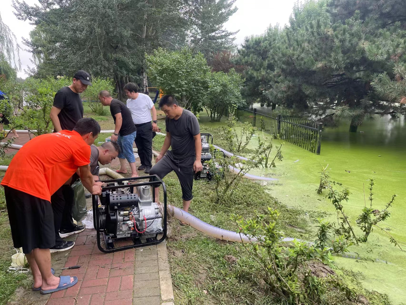 64c8ff44e4b0285e0b7ad1b0.jpeg 64c8ff44e4b0285e0b7ad1b0.jpeg