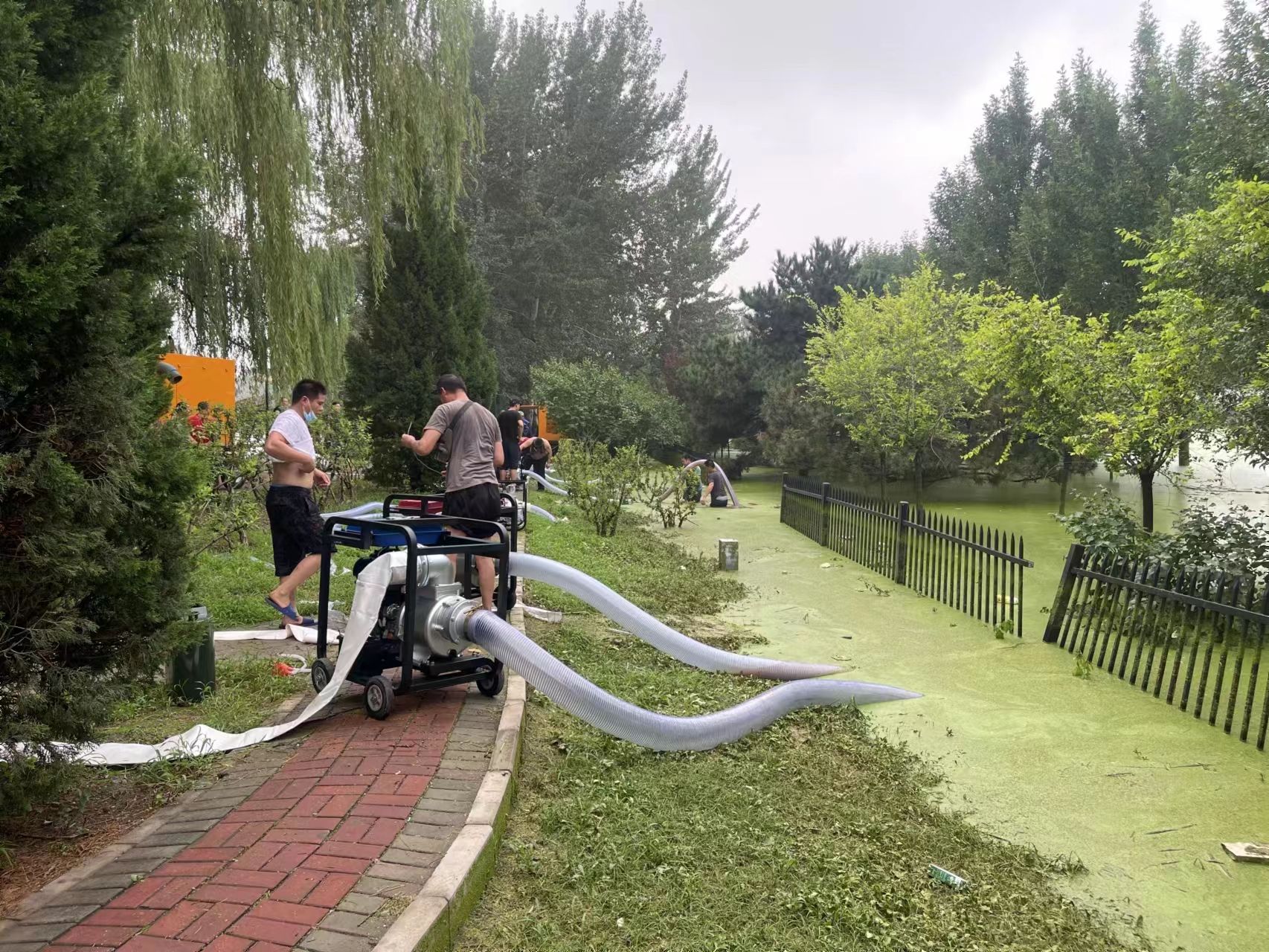 64c8ff44e4b0285e0b7ad1b9.jpeg 64c8ff44e4b0285e0b7ad1b9.jpeg