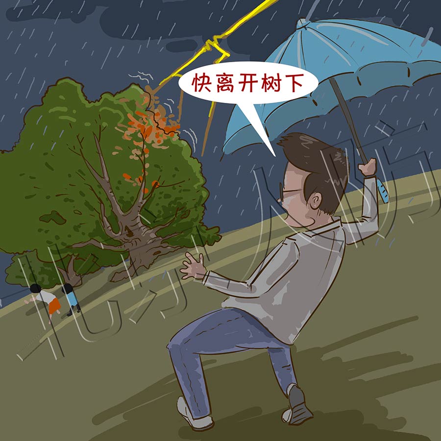 5在室外不要在大树底下避雨。