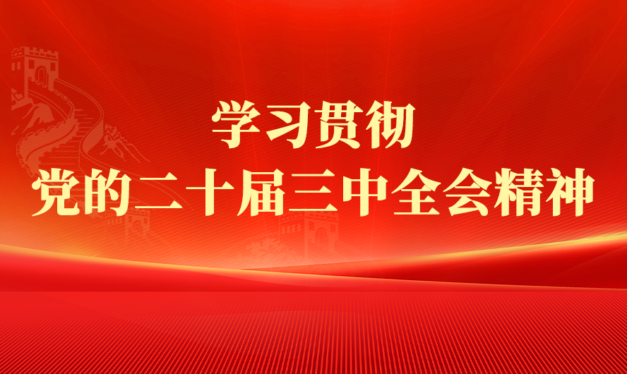 学习贯彻党的二十届三中全会精神