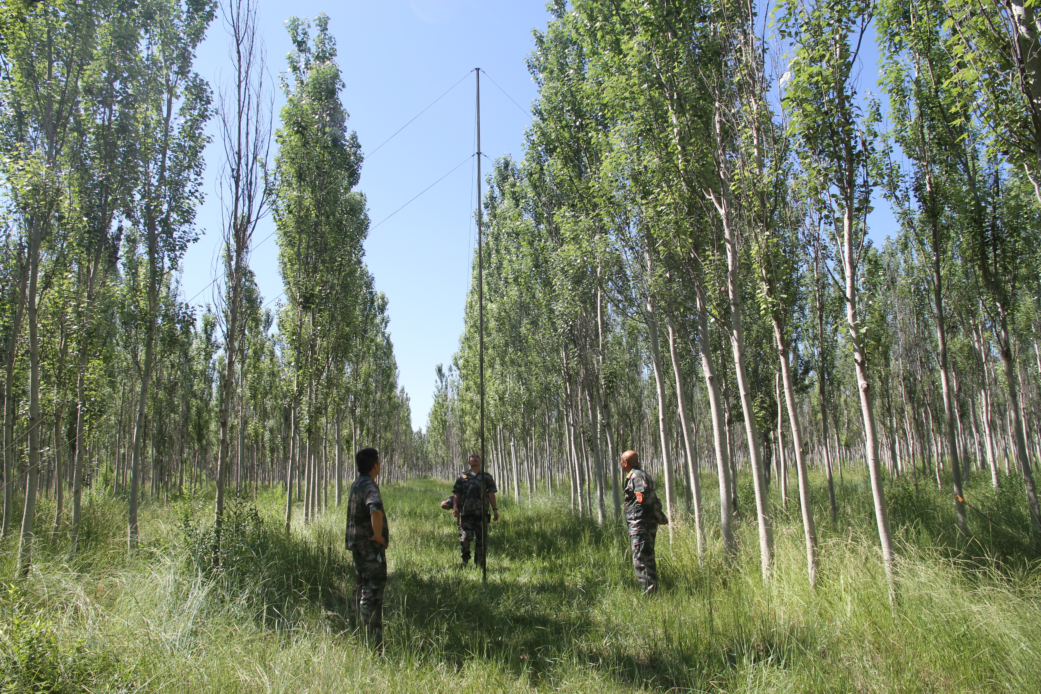 演练2.jpg 演练2.jpg