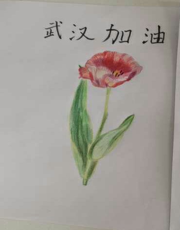 绘画作品